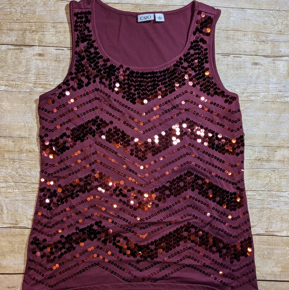 Cato Sequin Holiday top